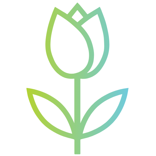 Immediate return to fertility